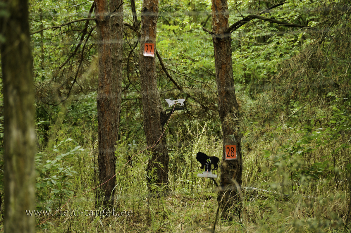 Ungari looduskaitsealal leiab ka lõvisid